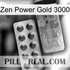 Zen Power Gold 3000 39